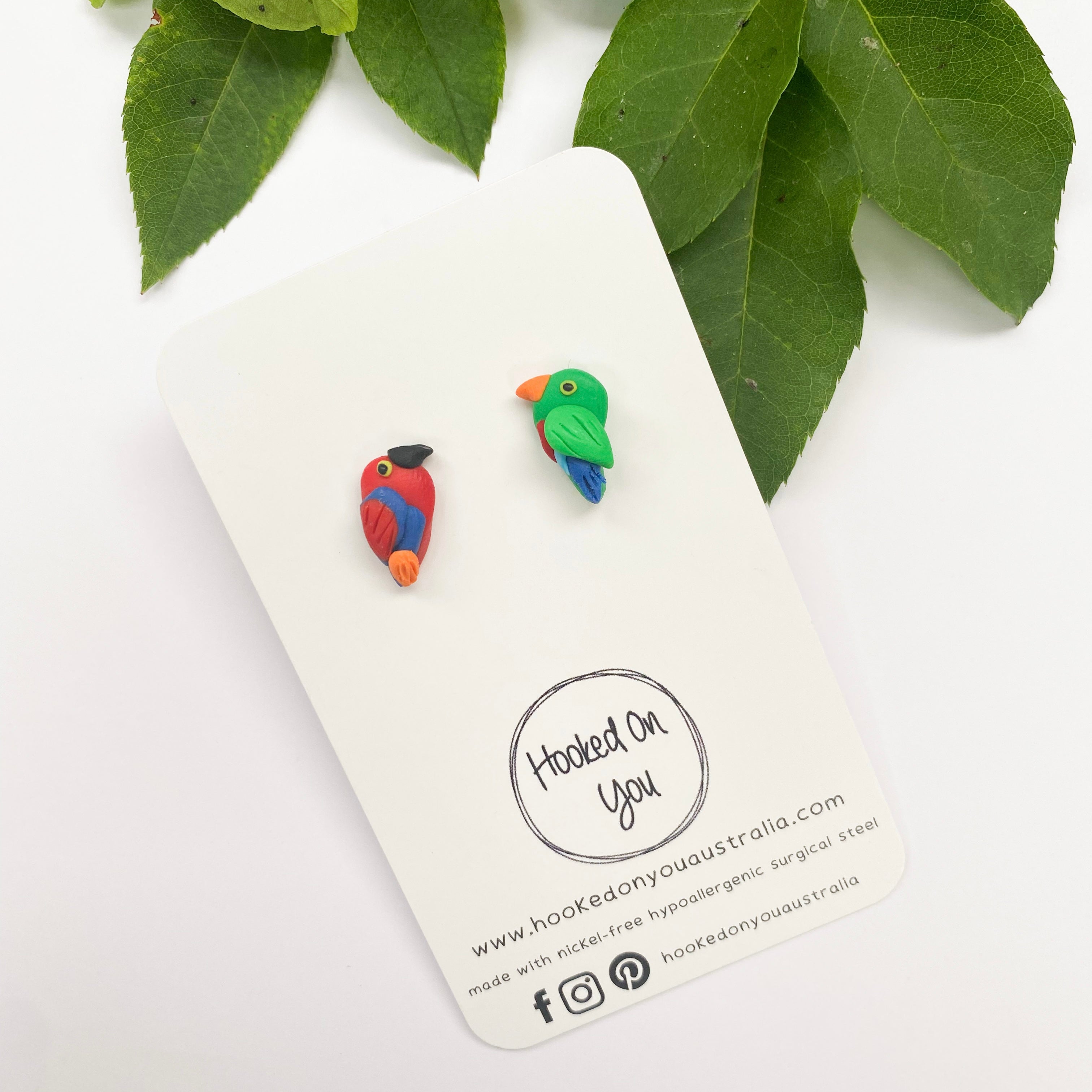 Eclectus Parrot Earrings